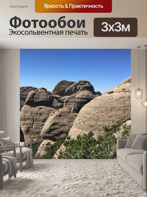 Фотообои Дорогой