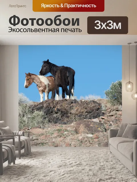 Фотообои Лошадь