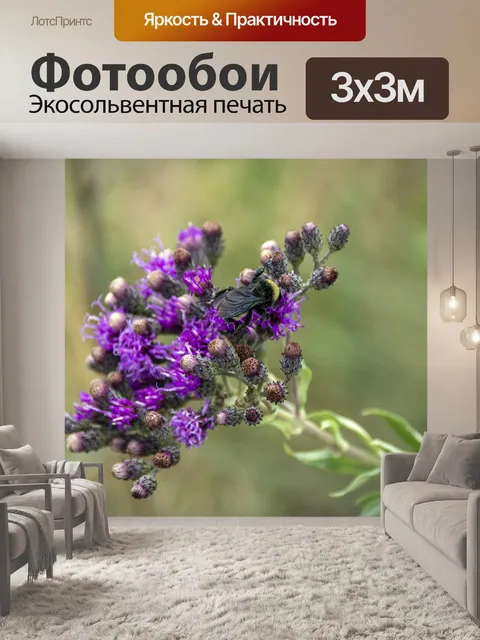 Фотообои пчела на полевых цветах