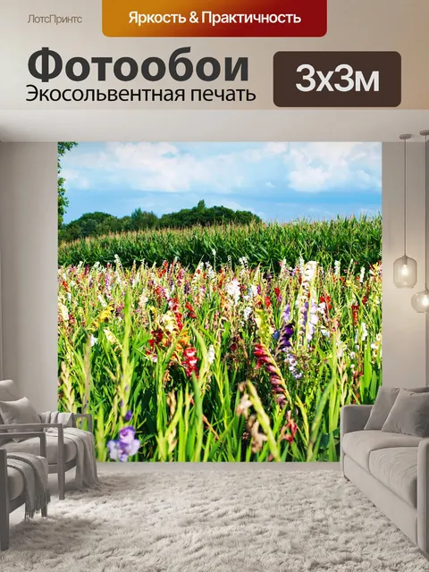 Фотообои Гладиолус