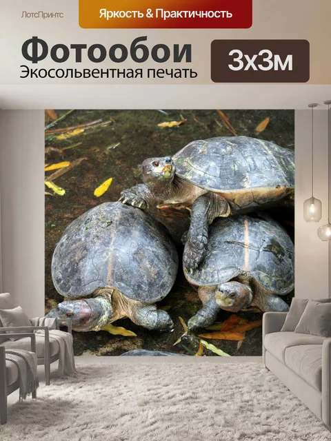 Фотообои Черепаха пирамиды