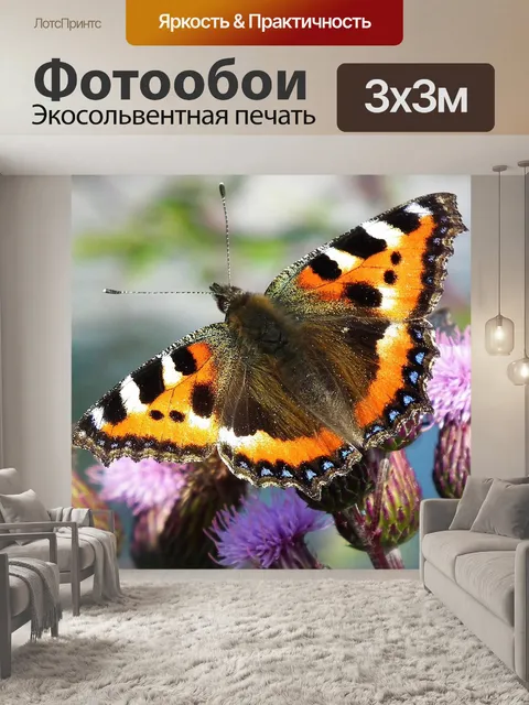Фотообои Бабочка