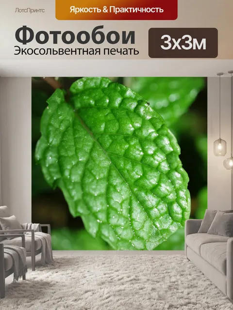 Фотообои Свежие листья мяты