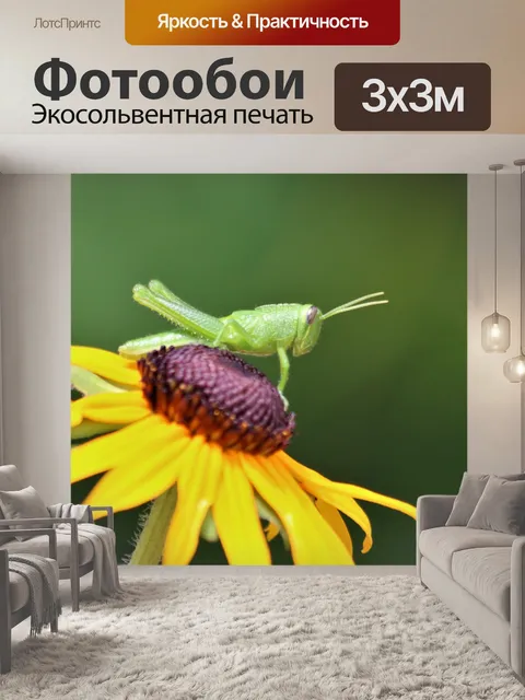 Фотообои Зеленый кузнечик на желтом цветке
