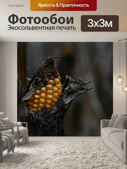 Фотообои Кукуруза в початках
