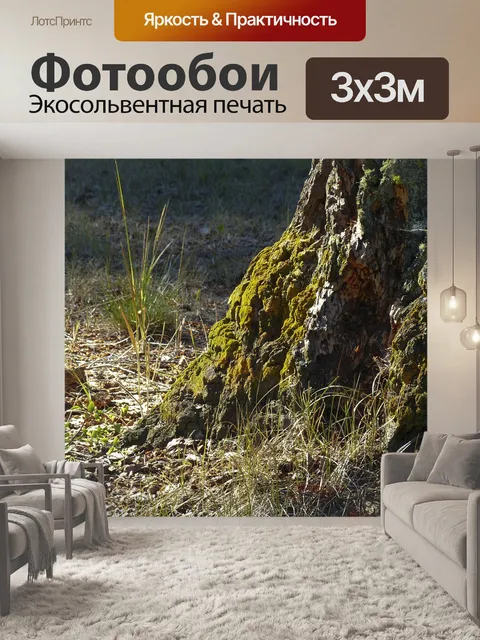 Фотообои Дерево