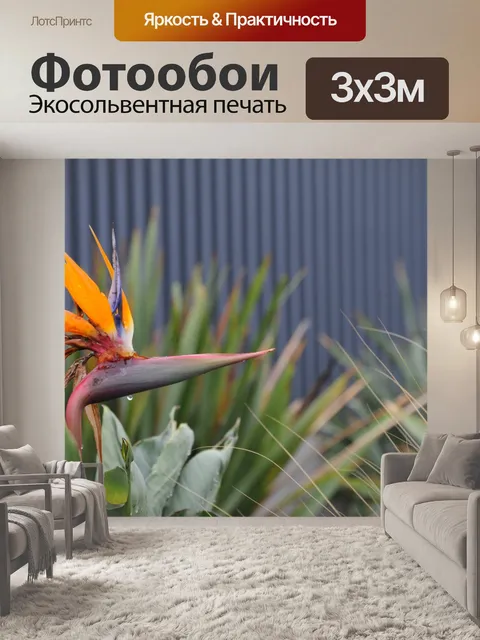 Фотообои Райская птица цветок