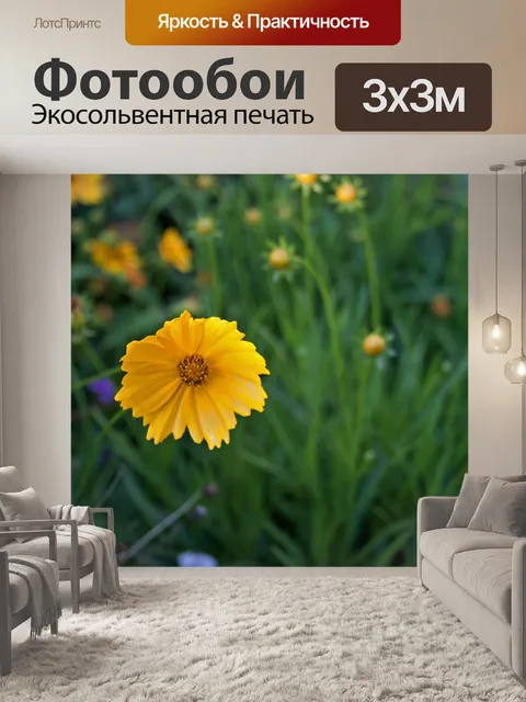 Фотообои желтая ромашка Чашевидный
