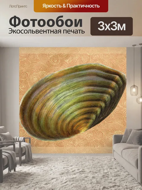 Фотообои Ракушка волны плакат Винтаж