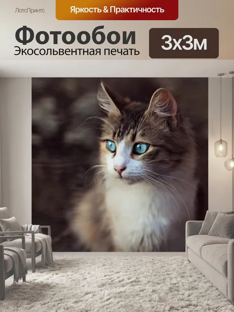 Фотообои Кот