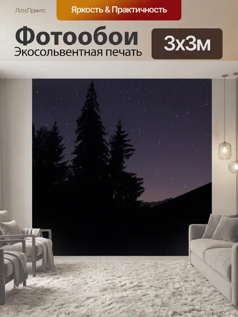 Фотообои Фиолетовый