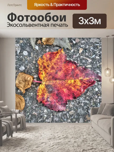 Фотообои Красный и желтый кленовый лист