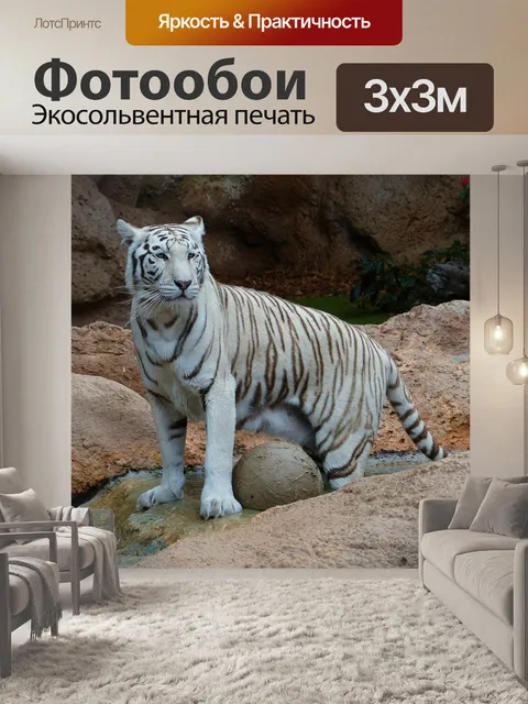 Фотообои Белый бенгальский тигр