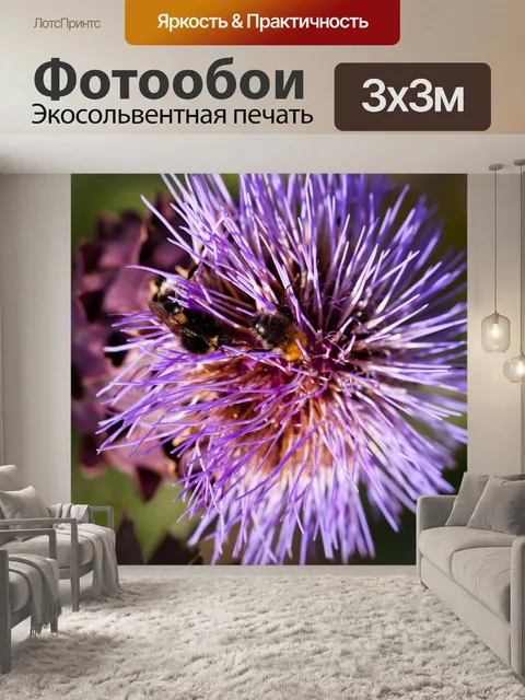 Фотообои Артишок