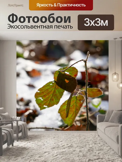Фотообои Лес