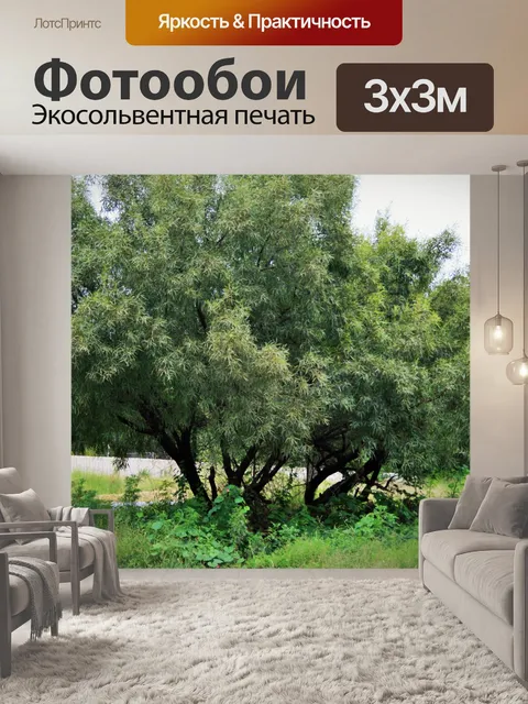 Фотообои Karee дерево и подлесок