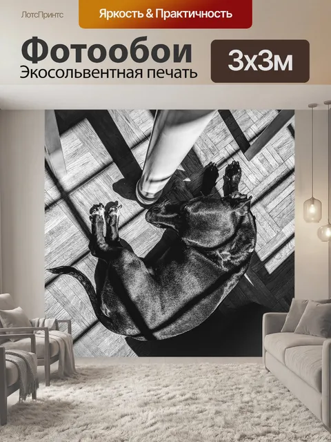 Фотообои Тени
