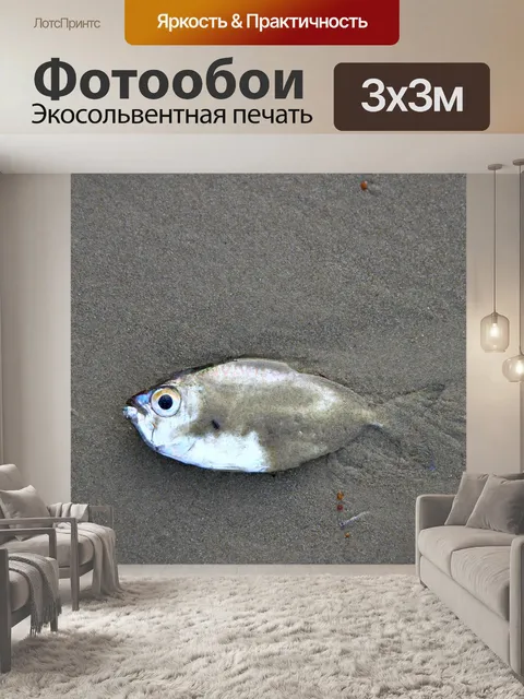 Фотообои Рыбы