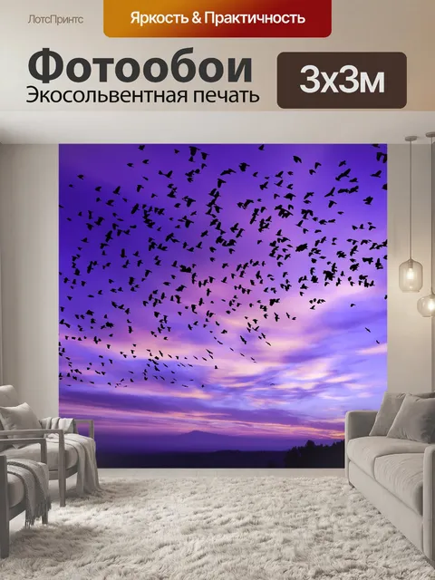 Фотообои Птицы