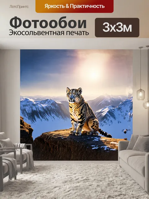 Фотообои снежный барс, величественно сидящий на краю обрыва, исследует свою окружающую среду, в то время как свет…