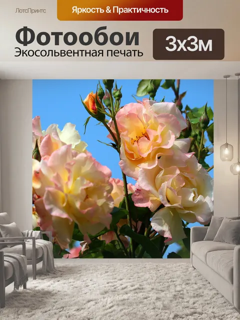Фотообои Плетистая роза