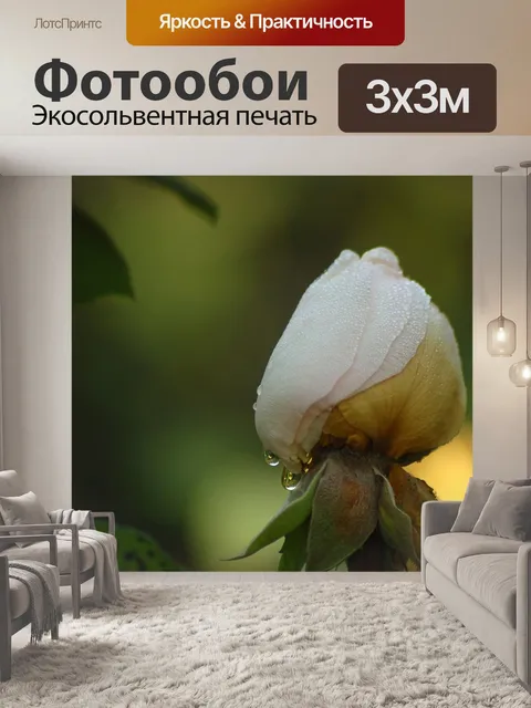 Фотообои Бутон