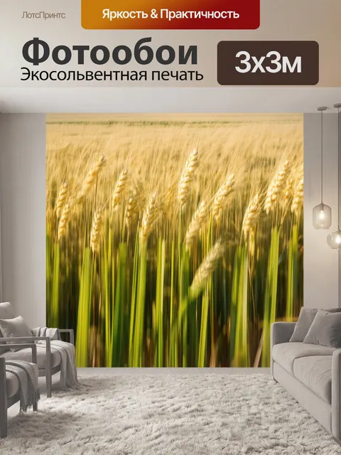 Фотообои поле, где плещутся волны высоких овсяных трав под сильным ветром, словно природа танцует