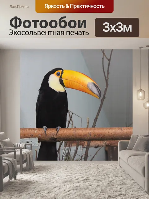 Фотообои Тукан