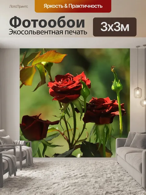 Фотообои Три розы