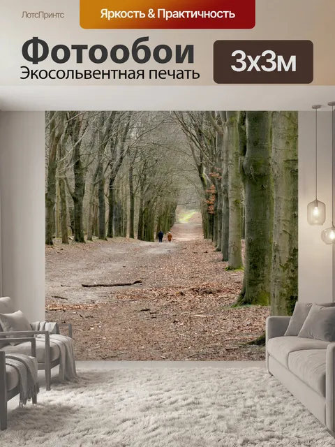 Фотообои Дорога