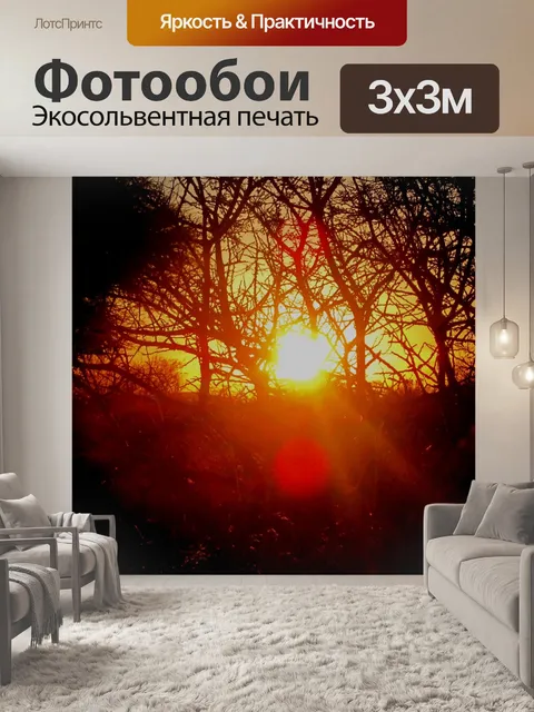Фотообои Низко ярком солнце