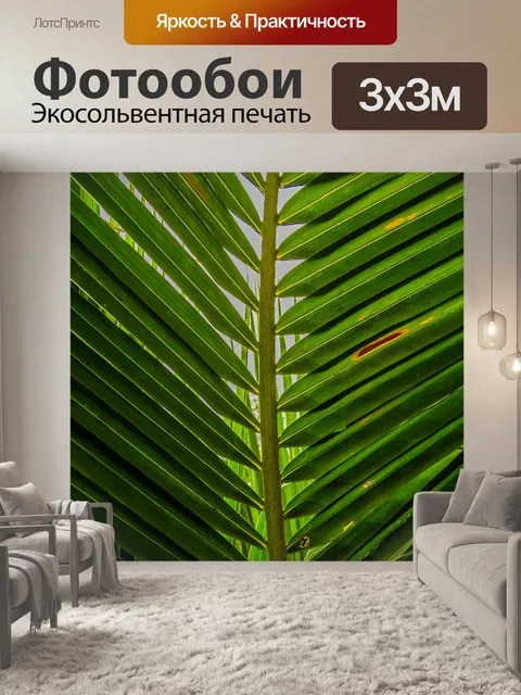 Фотообои Натуральные кокосовые листья