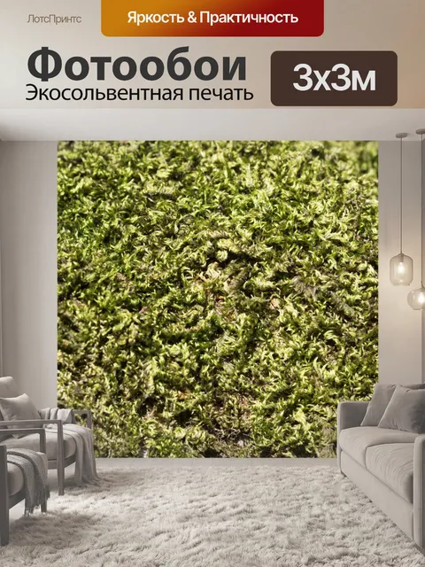 Фотообои Мосс текстуры фона