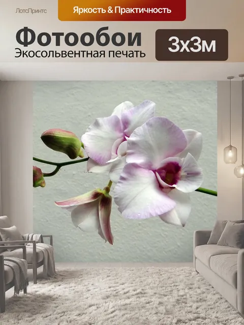 Фотообои Орхидея
