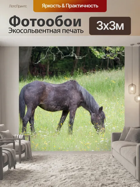 Фотообои Лошадь
