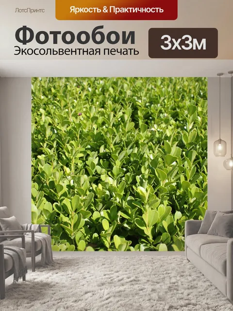 Фотообои зеленый фон обои отпуск