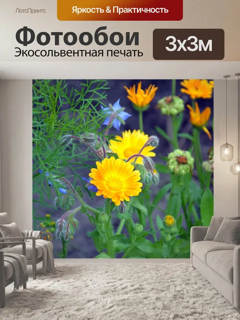 Фотообои Оранжевые цветы