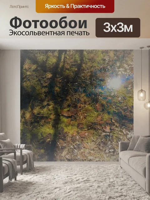 Фотообои Мосс и листья в бассейне с водой