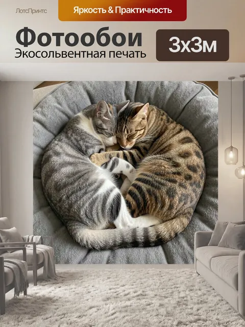 Фотообои Два спящих кота в объятиях
