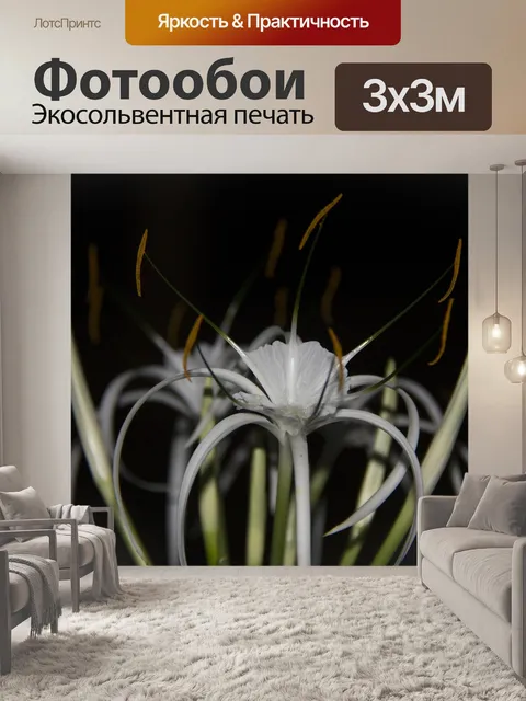 Фотообои Открытый
