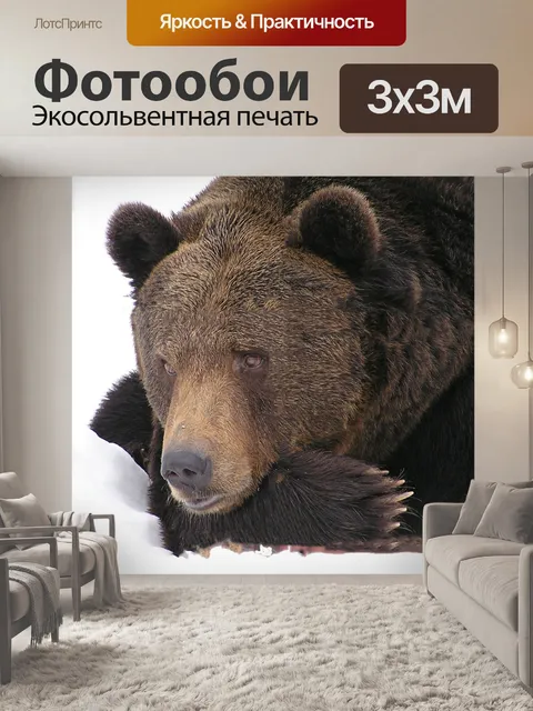 Фотообои Медведь