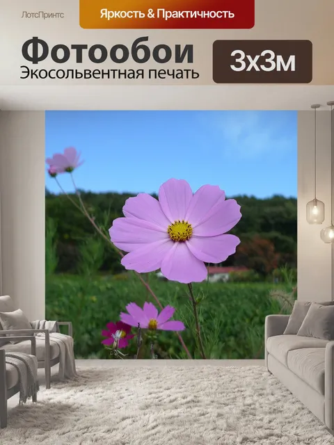 Фотообои Космос