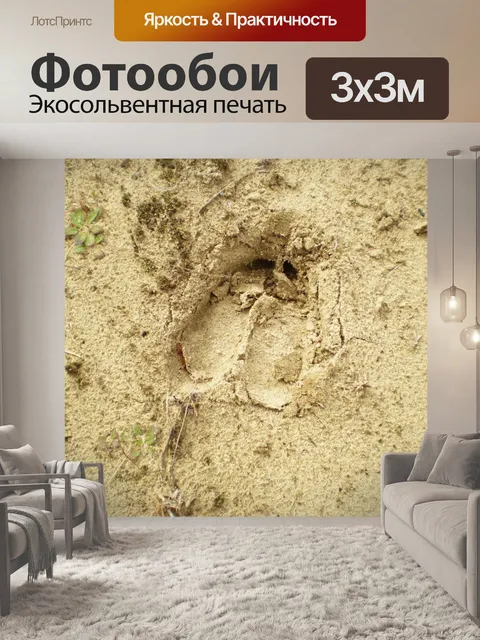 Фотообои Moose след