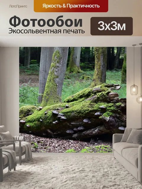 Фотообои Дуб