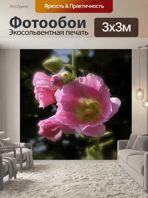 Фотообои Мальва