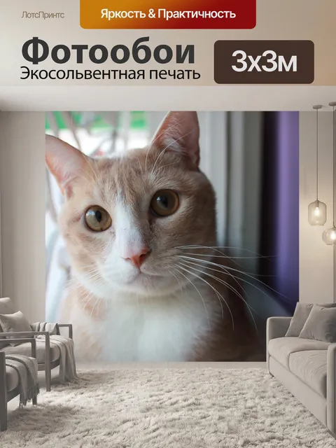 Фотообои Кошка