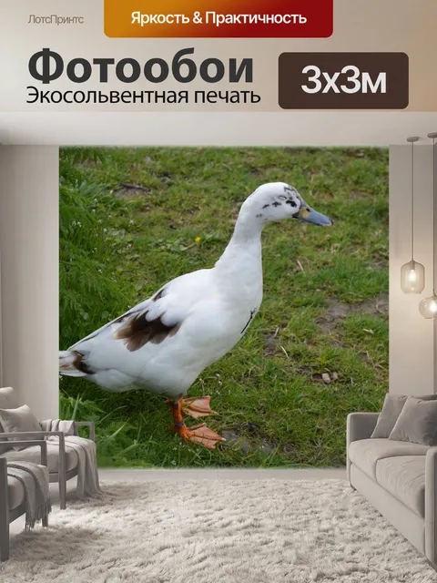 Фотообои Белое и черное