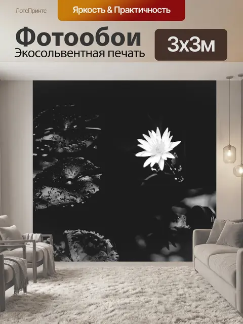 Фотообои Водяная лилия