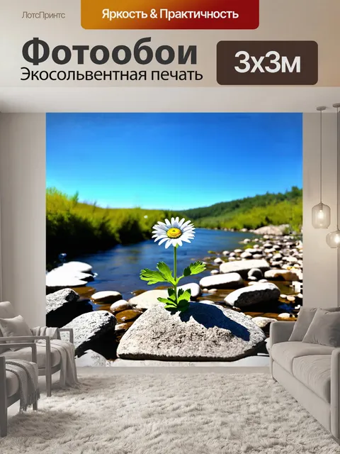 Фотообои одинокая ромашка, стойко растущая среди камней на берегу реки, символизирует силу жизни в непростой среде