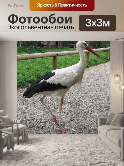 Фотообои Аист